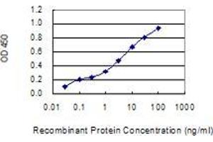 Detection limit for recombinant GST tagged MED13L is 0. (MED13L antibody  (AA 1186-1285))