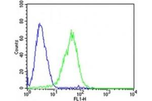 Flow cytometric analysis of HepG2 cells using Dlk1 antibody (green) compared to an isotype control of mouse IgG2b (blue) (DLK1 antibody  (C-Term))