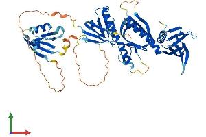 Protein Structure (PS) image for Syntrophin, beta 2 (Dystrophin-Associated Protein A1, 59kDa, Basic Component 2) (SNTB2) (AA 1-520) protein (His tag) (ABIN7557683)