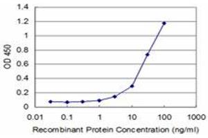 Detection limit for recombinant GST tagged DLX2 is approximately 3ng/ml as a capture antibody. (DLX2 antibody  (AA 1-124))