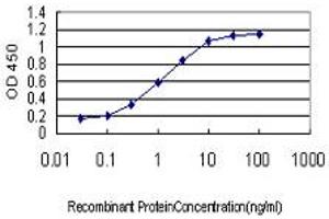 Detection limit for recombinant GST tagged ING1 is approximately 0. (ING1 antibody  (AA 41-140))