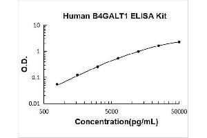 Typical Standard Curve