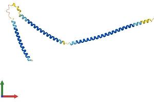 Protein Structure (PS) image for Suppressor of IKBKE 1 (SIKE1) (AA 1-207) protein (His tag) (ABIN7546004)