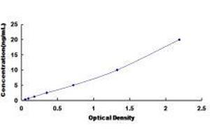 Neuropeptide Y Receptor Y1 (NPY1R) ELISA Kit