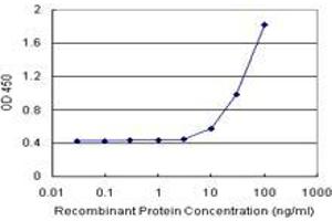 Sandwich ELISA detection sensitivity ranging from 10 ng/mL to 100 ng/mL. (RAD54B (Human) Matched Antibody Pair)