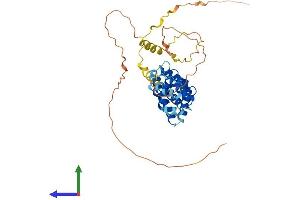 Protein Structure (PS) image for Proline Rich 5 Like (PRR5L) (AA 1-370) protein (His tag) (ABIN7561963)