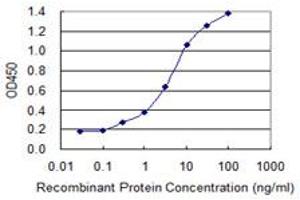 Detection limit for recombinant GST tagged ZNF287 is 0. (ZNF287 antibody  (AA 231-330))