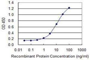 Detection limit for recombinant GST tagged FMN2 is 0. (Formin 2 antibody  (AA 144-243))