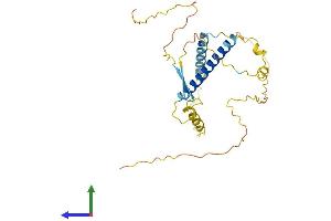 AlphaFold protein structure predicition of Human Recombinant TAF1D Protein, UniprotID Q9H5J8