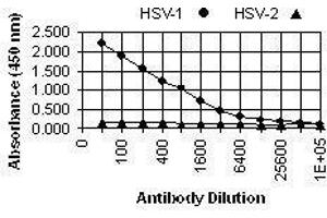ELISA image for anti-Herpes Simplex Virus Type 1 ICP4 (HSV1 ICP4) antibody (ABIN265556)