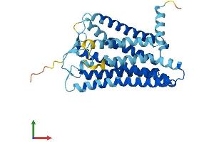 AlphaFold protein structure predicition of Human Recombinant OR10H3 Protein, UniprotID O60404 (OR10H3 Protein (AA 1-316) (His tag))