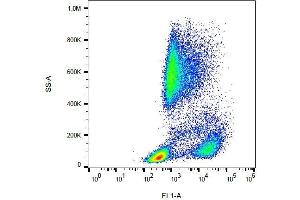 Surface staining of human peripheral blood with anti-CD62P (AK4) FITC. (P-Selectin antibody  (FITC))