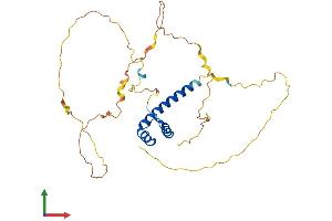 AlphaFold protein structure predicition of Mouse Recombinant Cdx2 Protein, UniprotID P43241
