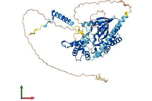 Protein Structure (PS) image for Guanine Nucleotide Binding Protein-Like 3 (Nucleolar) (GNL3) (AA 1-549) protein (His tag) (ABIN7548019)