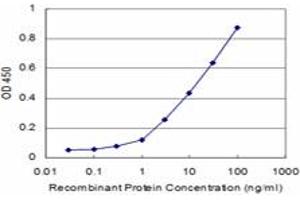 Detection limit for recombinant GST tagged PRKCD is approximately 1ng/ml as a capture antibody. (PKC delta antibody  (AA 577-676))