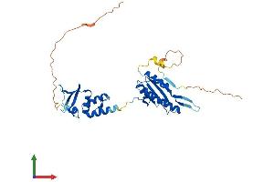 AlphaFold protein structure predicition of Mouse Recombinant Kctd13 Protein, UniprotID Q8BGV7