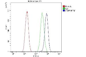Flow Cytometry analysis of A549 cells using anti-LDHB antibody (ABIN4886658).