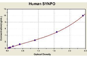 Diagramm of the ELISA kit to detect Human SYNPOwith the optical density on the x-axis and the concentration on the y-axis.