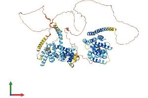 AlphaFold protein structure predicition of Human Recombinant NOM1 Protein, UniprotID Q5C9Z4 (NOM1 Protein (AA 1-860) (His tag))