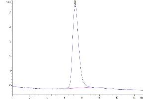 The purity of Biotinylated Human TRAIL R4/TNFRSF10D is greater than 95 % as determined by SEC-HPLC.