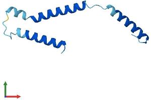 Protein Structure (PS) image for Dolichyl-Phosphate Mannosyltransferase Polypeptide 3 (DPM3) (AA 1-92) protein (His tag) (ABIN7560891)
