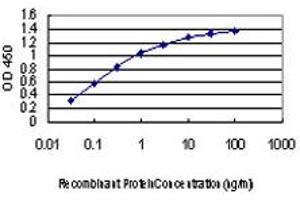 Detection limit for recombinant GST tagged MAPK6 is approximately 0. (MAPK6 antibody  (AA 612-721))