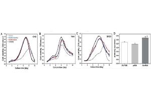 Performance of OsrHSA in promoting cell growth and antibody production: The promotion of cell growth was comparable to that of CHO cells on 10% FBS. (HSA Protein)
