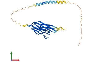 Protein Structure (PS) image for Tumor Necrosis Factor (Ligand) Superfamily, Member 15 (TNFSF15) (AA 1-252) protein (His tag) (ABIN7557569)