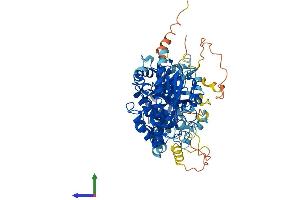 AlphaFold protein structure predicition of Mouse Recombinant Pla2g4a Protein, UniprotID P47713 (PLA2G4A Protein (AA 1-748) (His tag))