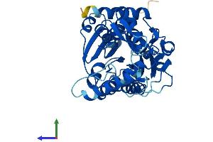 AlphaFold protein structure predicition of Mouse Recombinant Hsd3b7 Protein, UniprotID Q9EQC1