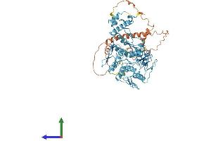 AlphaFold protein structure predicition of Human Recombinant ZNF728 Protein, UniprotID P0DKX0 (ZNF728 Protein (AA 1-622) (His tag))
