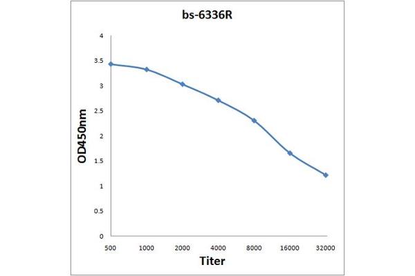 APOBR antibody  (AA 1001-1088)
