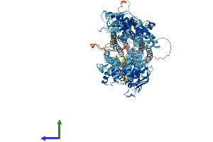 AlphaFold protein structure predicition of Human Recombinant ABCC4 Protein, UniprotID O15439 (ABCC4 Protein (AA 1-1325) (His tag))