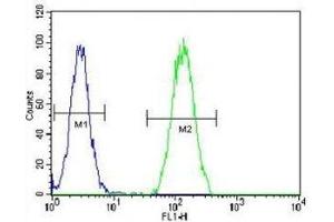 BMP2 antibody flow cytometric analysis of HeLa cells (green) compared to a negative control (blue). (BMP2 antibody  (AA 260-289))