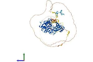 AlphaFold protein structure predicition of Mouse Recombinant Pak4 Protein, UniprotID Q8BTW9 (PAK4 Protein (AA 1-593) (His tag))