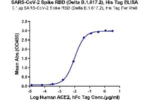 Immobilized SARS-CoV-2 Spike RBD (Delta B. (SARS-CoV-2 Spike Protein (B.1.617.2 - delta, RBD) (His tag))