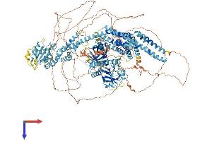 AlphaFold protein structure predicition of Human Recombinant ARHGEF40 Protein, UniprotID Q8TER5 (ARHGEF40 Protein (AA 1-1519) (His tag))