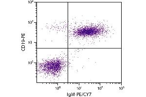 BALB/c mouse splenocytes were stained with Rat Anti-Mouse IgM-PE/CY7. (Rat anti-Mouse IgM Antibody (PE-Cy7))