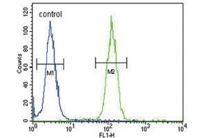 Flow Cytometry (FACS) image for anti-Nuclear Receptor Coactivator 7 (NCOA7) antibody (ABIN3004220) (NCOA7 antibody)