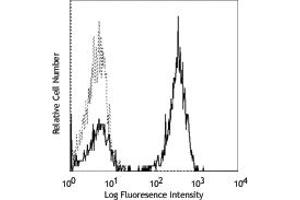 Image no. 1 for anti-CD3 (CD3) antibody (ABIN205331) (CD3 antibody)