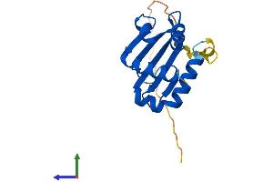 AlphaFold protein structure predicition of Human Recombinant SCP2D1 Protein, UniprotID Q9UJQ7