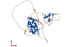 Protein Structure (PS) image for Retinoid X Receptor, alpha (RXRA) (AA 1-467) protein (His tag) (ABIN7563061)
