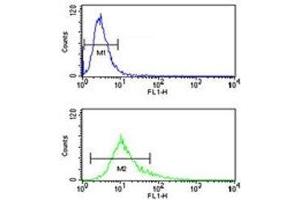 S100A10 antibody flow cytometry analysis of NCI-H460 cells (green) compared to a negative control (blue). (S100A10 antibody  (AA 12-40))