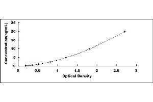 Typical standard curve (MMP1 ELISA Kit)