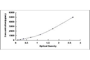 Typical standard curve (FOXJ1 ELISA Kit)