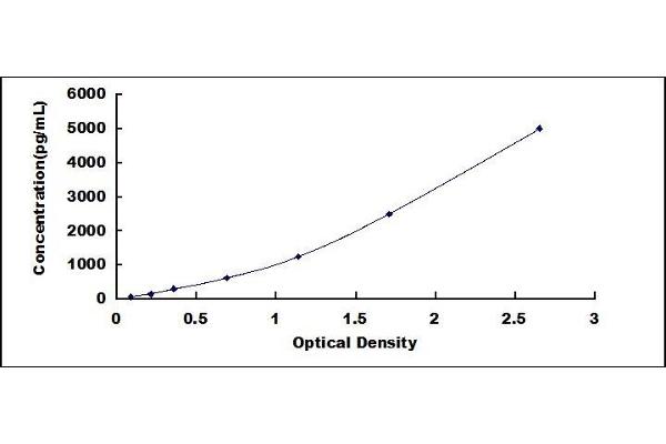 FOXJ1 ELISA Kit