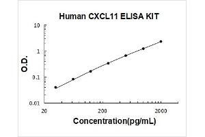 Chemokine (C-X-C Motif) Ligand 11 (CXCL11) ELISA Kit