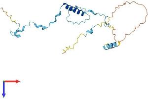 AlphaFold protein structure predicition of Human Recombinant POLR3G Protein, UniprotID O15318 (POLR3G Protein (AA 1-223) (His tag))