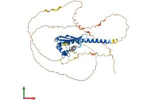 AlphaFold protein structure predicition of Human Recombinant TSPYL1 Protein, UniprotID Q9H0U9