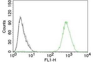 Flow Cytometry (FACS) image for anti-Epidermal Growth Factor Receptor (EGFR) (Extracellular Domain) antibody (ABIN6939288)